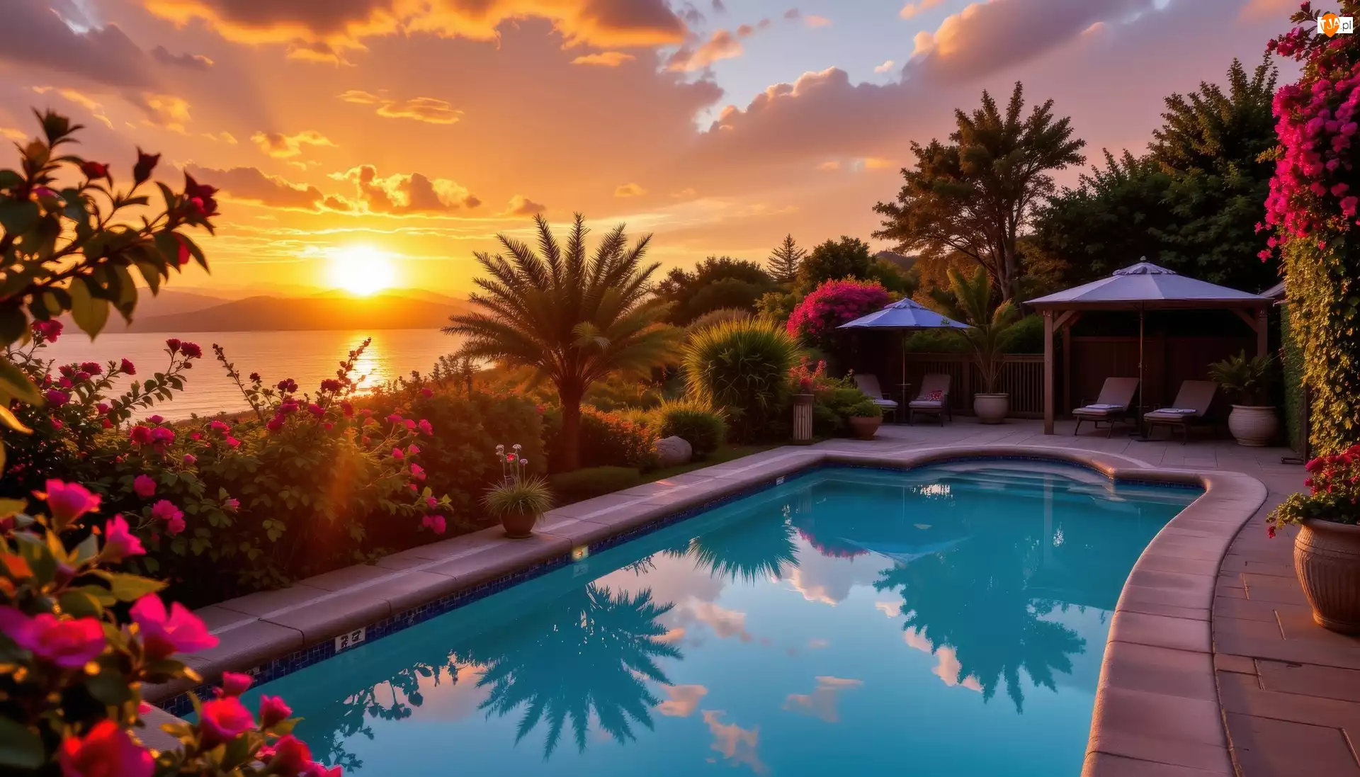 Leżaki, Palmy, Zachód słońca, Basen, Chmury, Morze, Parasole