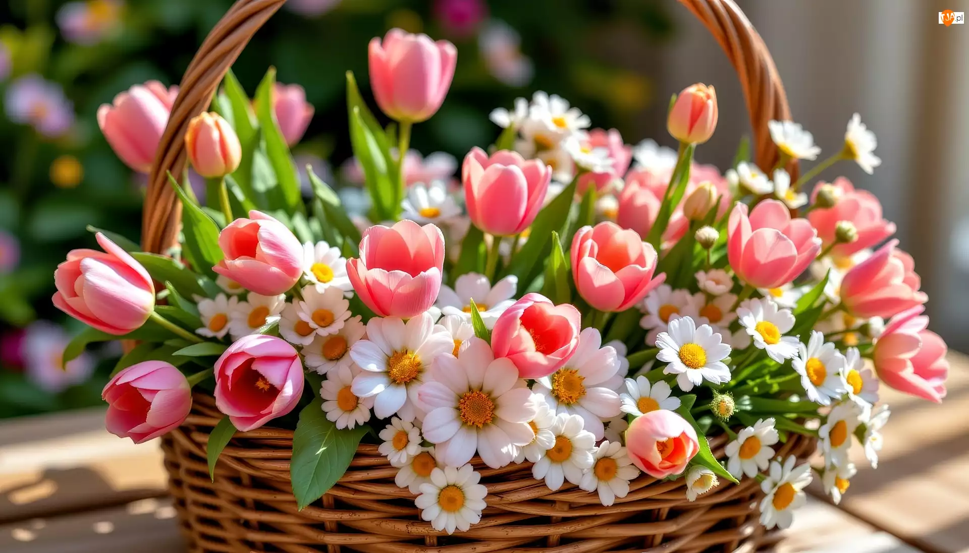 Bukiet, Grafika AI, Stokrotki, Tulipany, Koszyk