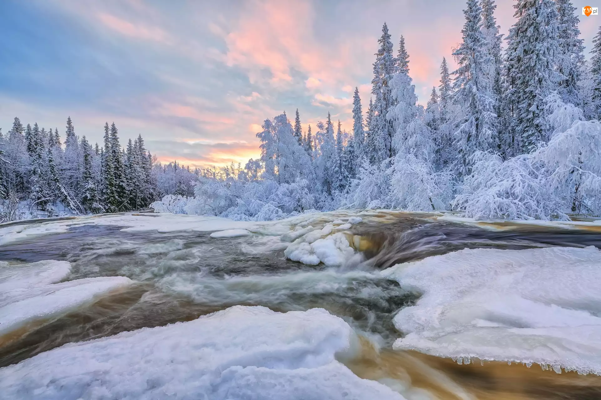 Oblodzona, Zima, Ośnieżone, Krzewy, Rzeka, Drzewa