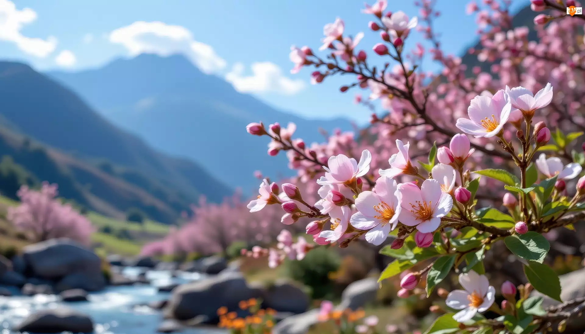 Kwiaty, Różowe, Góry, Grafika AI, Gałązki, Niebo
