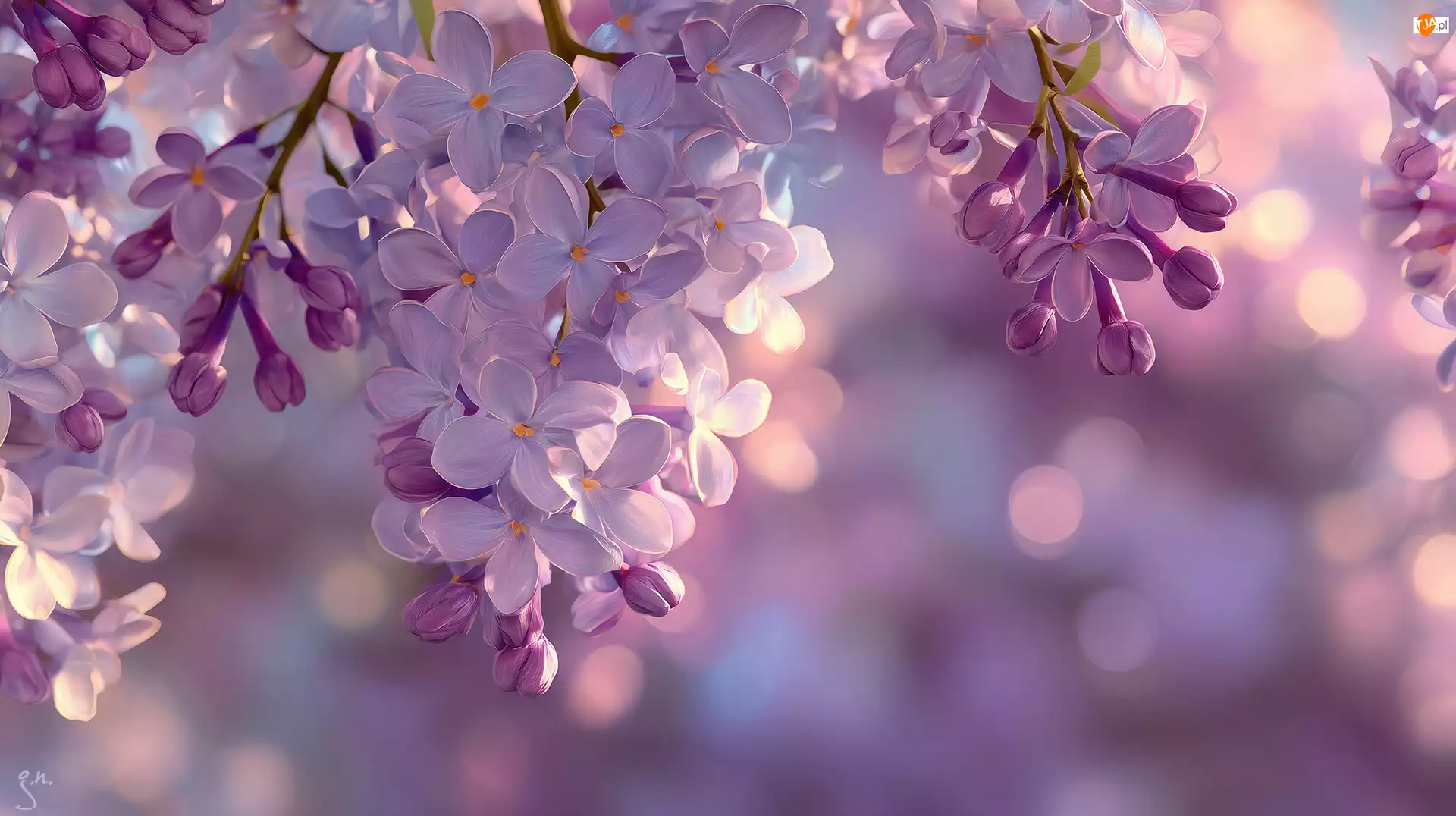 Grafika AI, Fioletowy, Bez