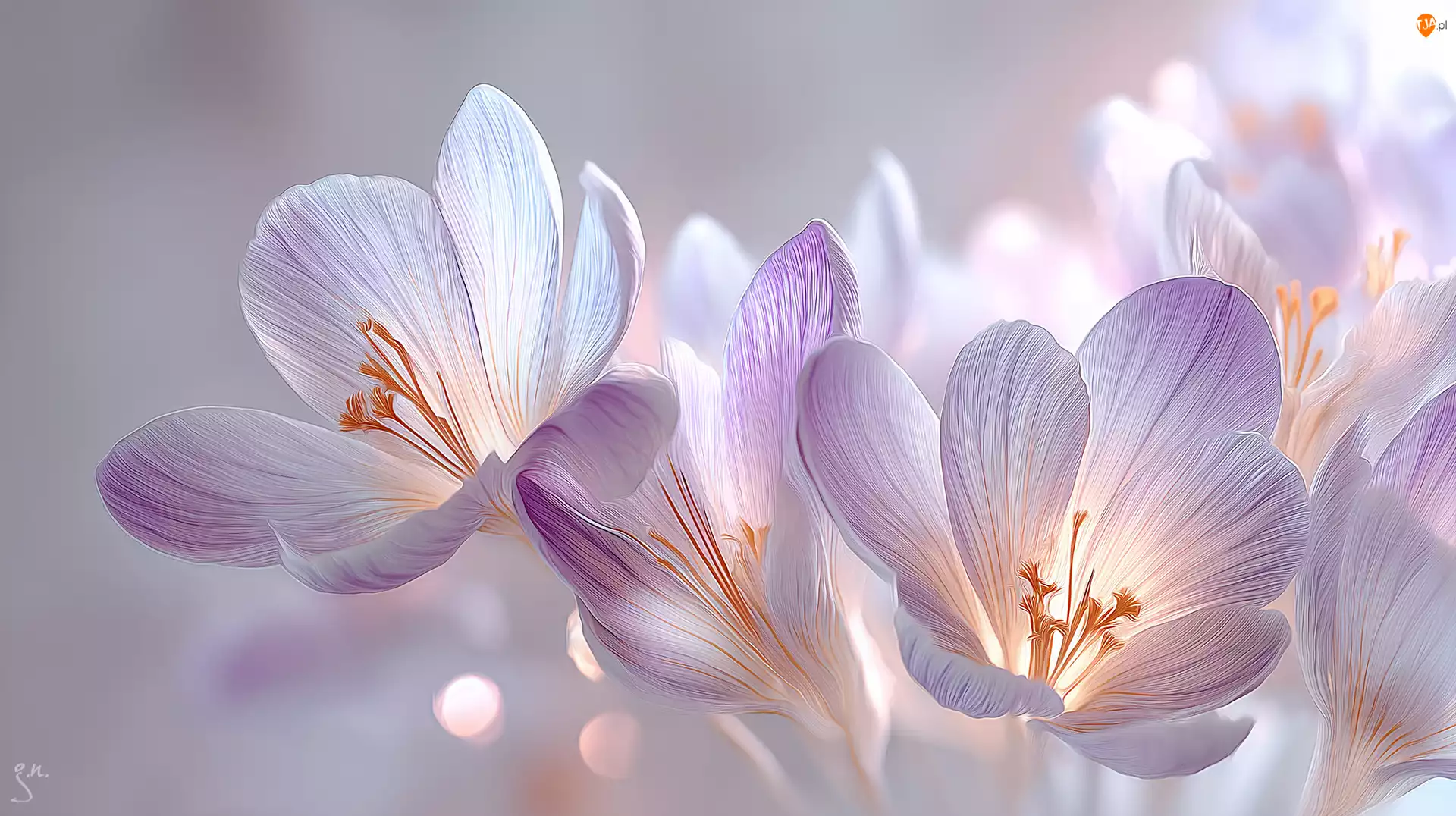 Grafika AI, Różowe, Krokusy