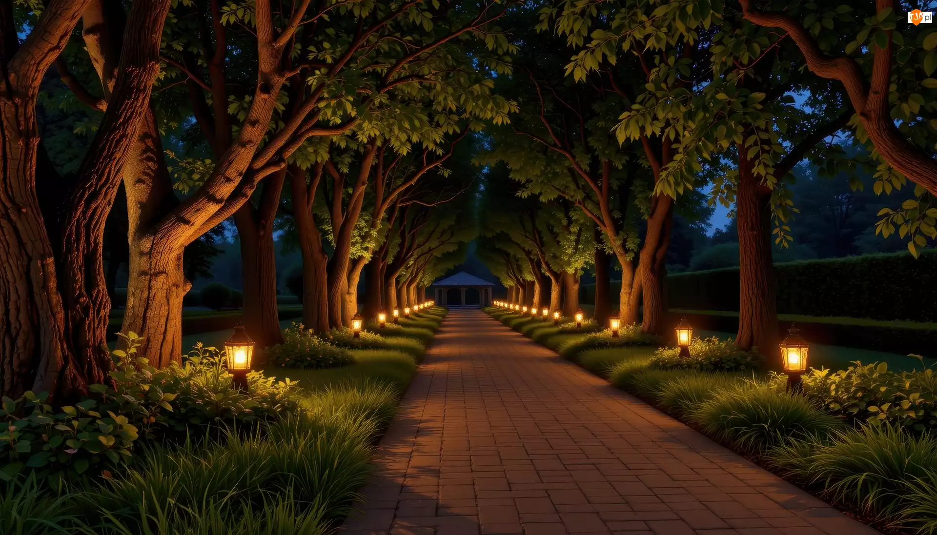 Park, Latarnie, Drzewa, Noc