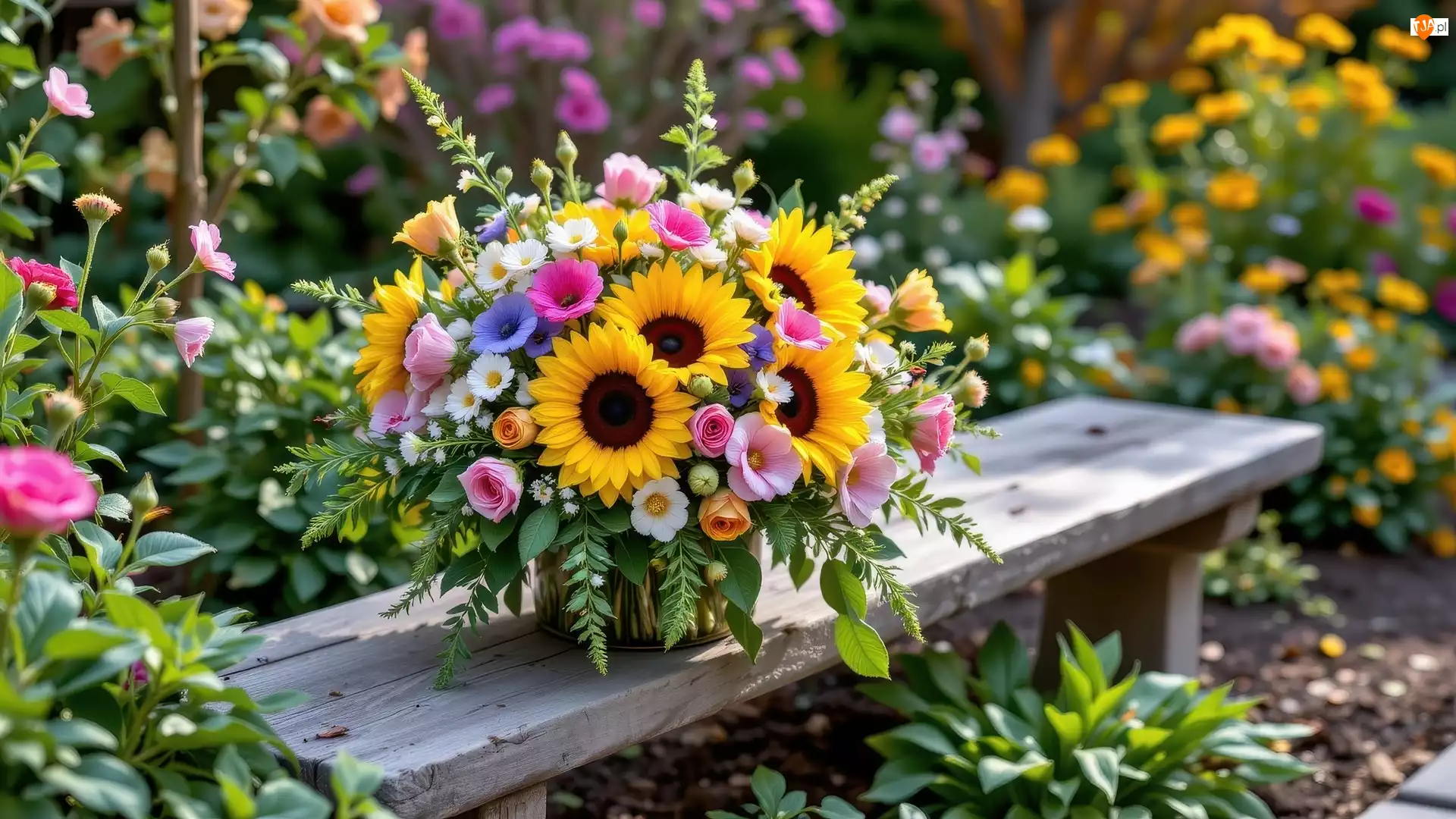Bukiet, Rośliny, Kwiaty, Ławka, Słoneczniki