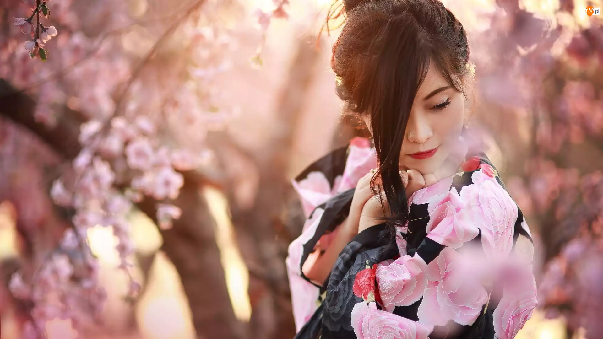 Bluzka, Drzewa, Kolorowa, Dziewczyna, Kwitnące