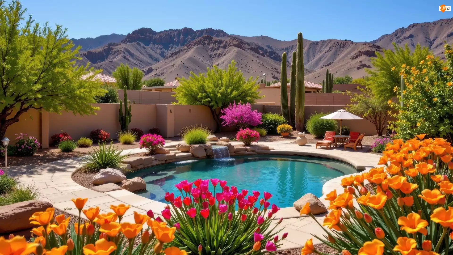 Kwiaty, Drzewa, Kolorowe, Basen, Góry