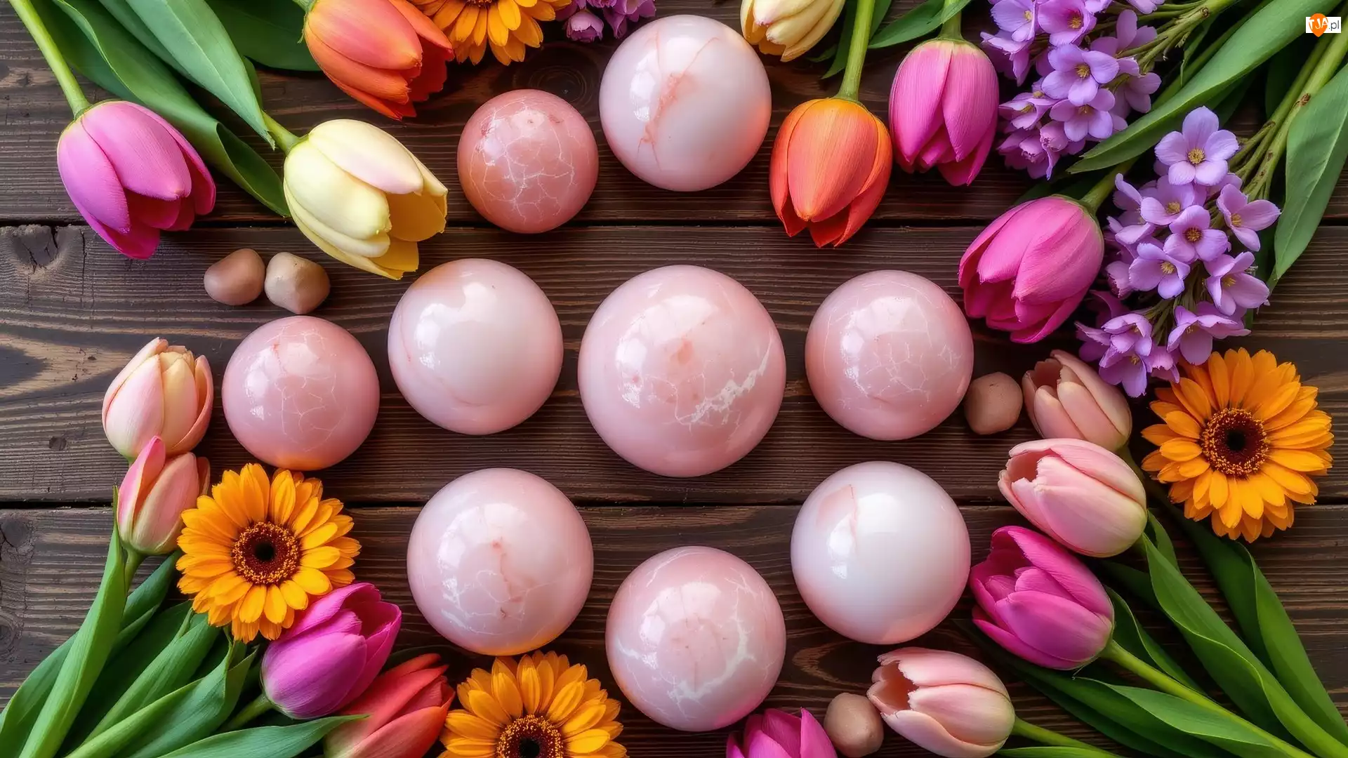 Kule, Różowe, Kwiaty, Deski, Kolorowe, Tulipany