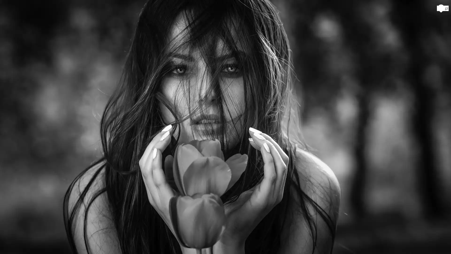 Czarno-białe, Dziewczyna, Długie, Włosy