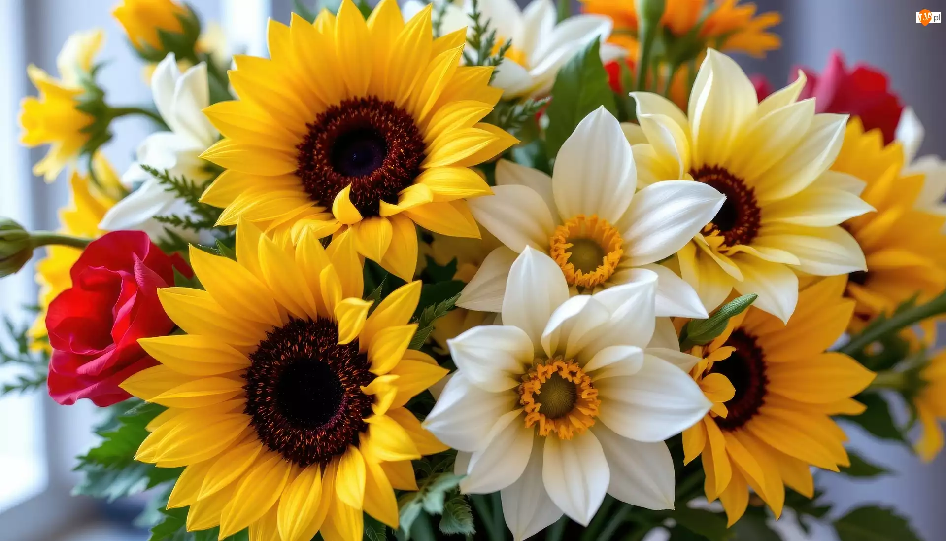 AI, Kwiaty, Bukiet kwiatów, Słoneczniki