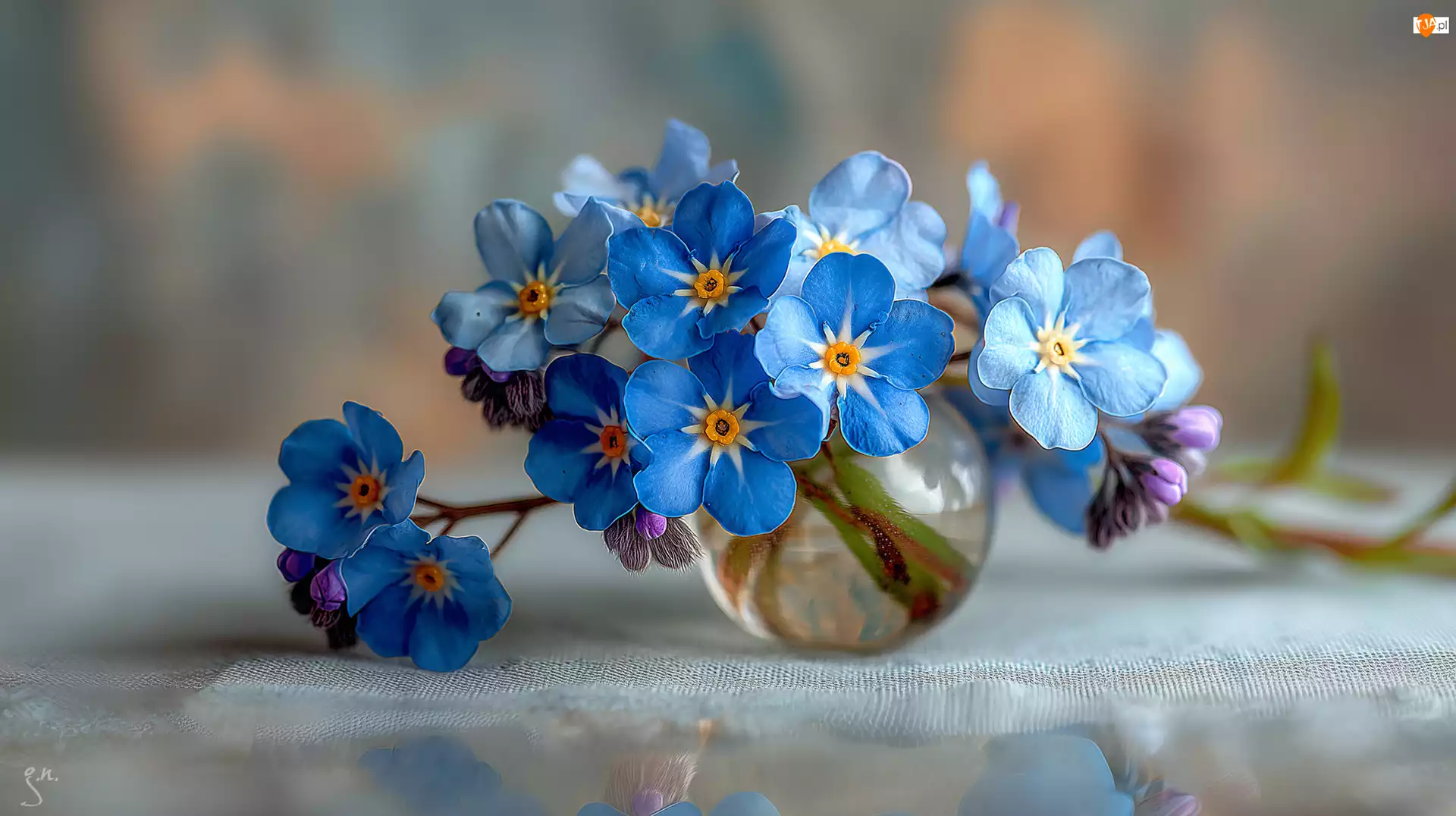 Kwiaty, Grafika AI, Niebieskie, Niezapominajki, Wazonik