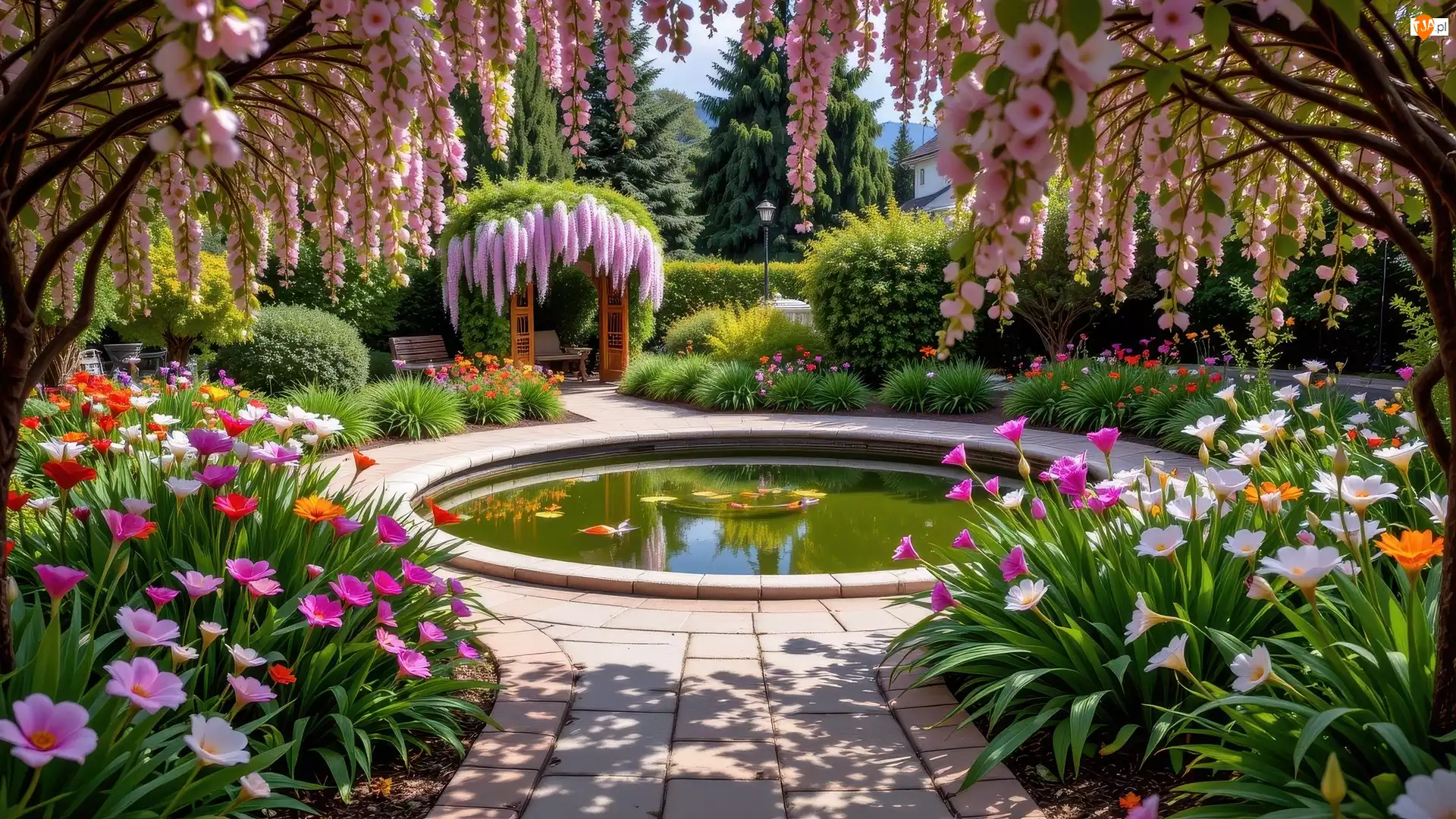 Ławki, Oczko, Pergola, Kwiaty, Drzewa, Wodne, Krzewy, Ogród, Kolorowe