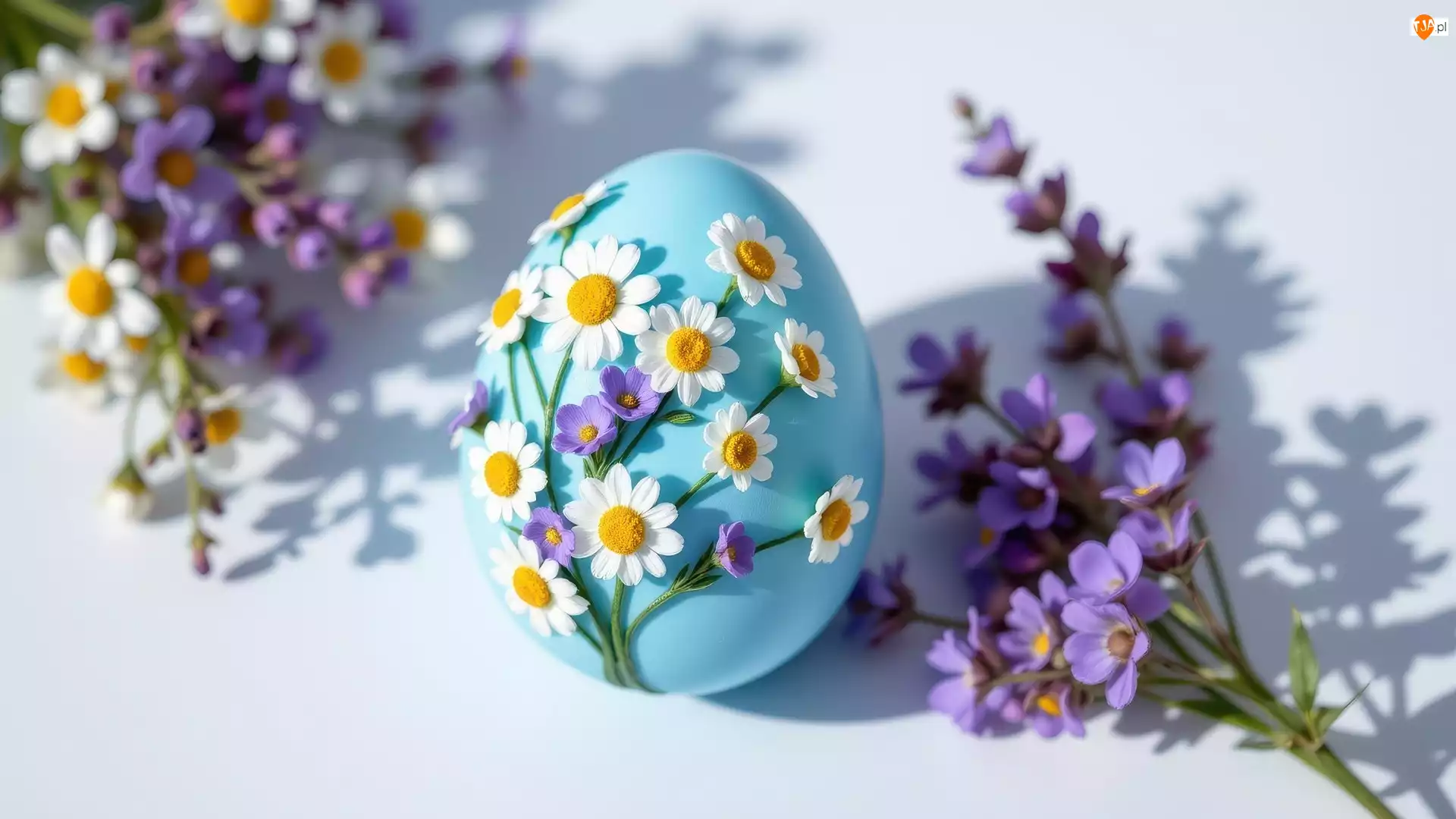 Niebieskie, Wielkanoc, Białe, Kwiaty, Jajko, Fioletowe