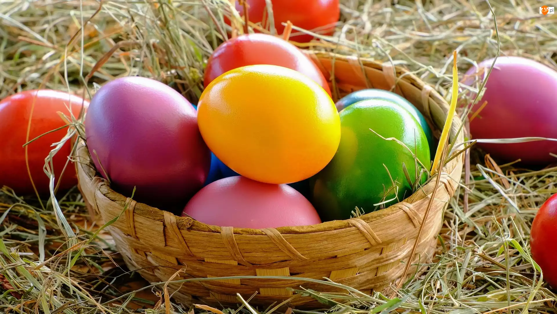 Koszyk, Wielkanoc, Jajka, Kolorowe