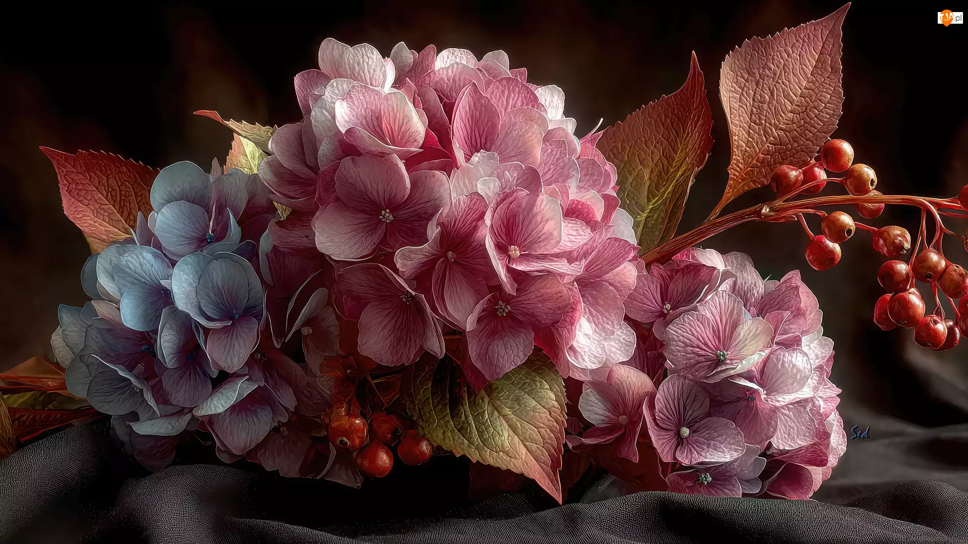 Grafika AI, Hortensja, Kwiaty, Liście