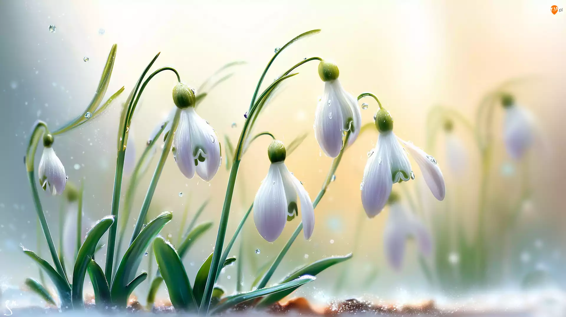 Grafika AI, Przebiśniegi, Kwiaty