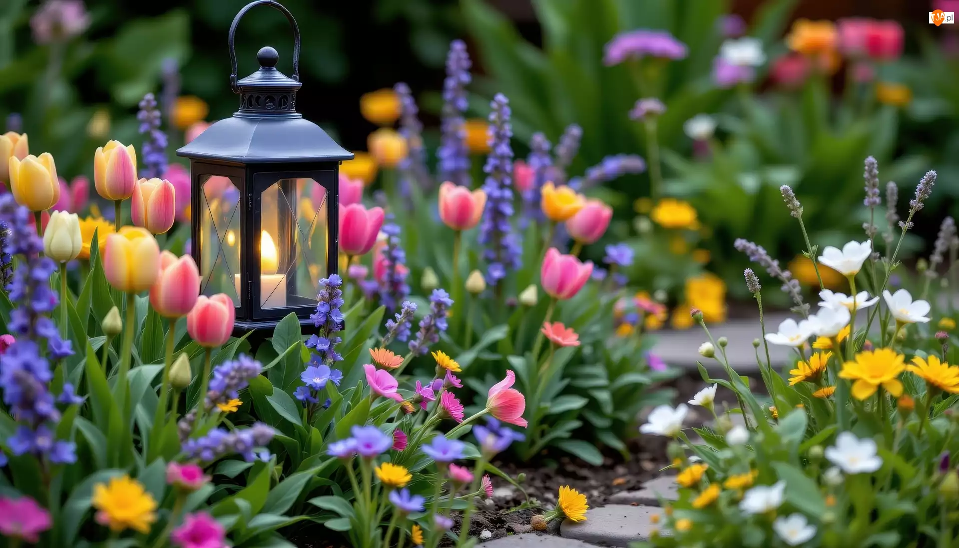 Kwiaty, Wiosna, Lampion, Ogród, Tulipany, Świeca