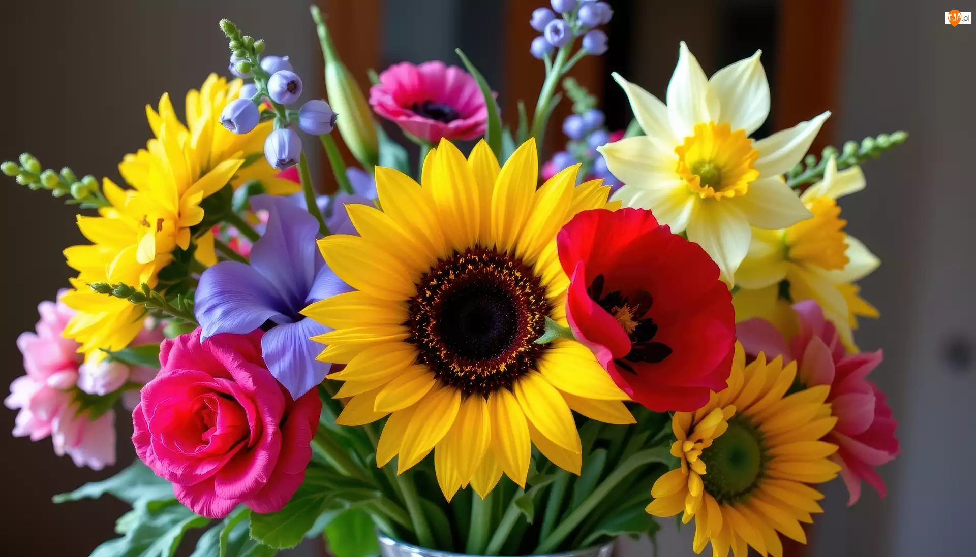 Kwiaty, Kolorowe, Róża, Bukiet, Słoneczniki, Narcyzy