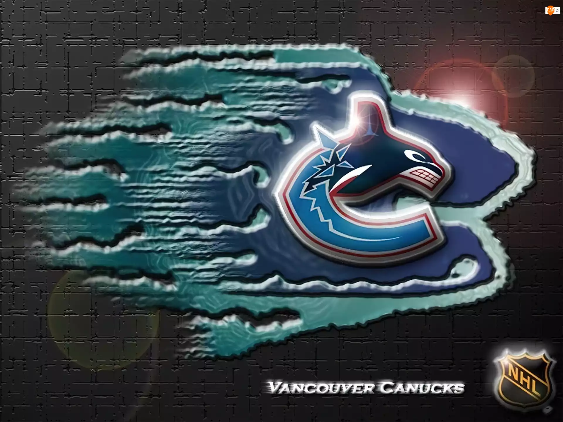 Vancouver Canucks, Logo, Drużyny, NHL