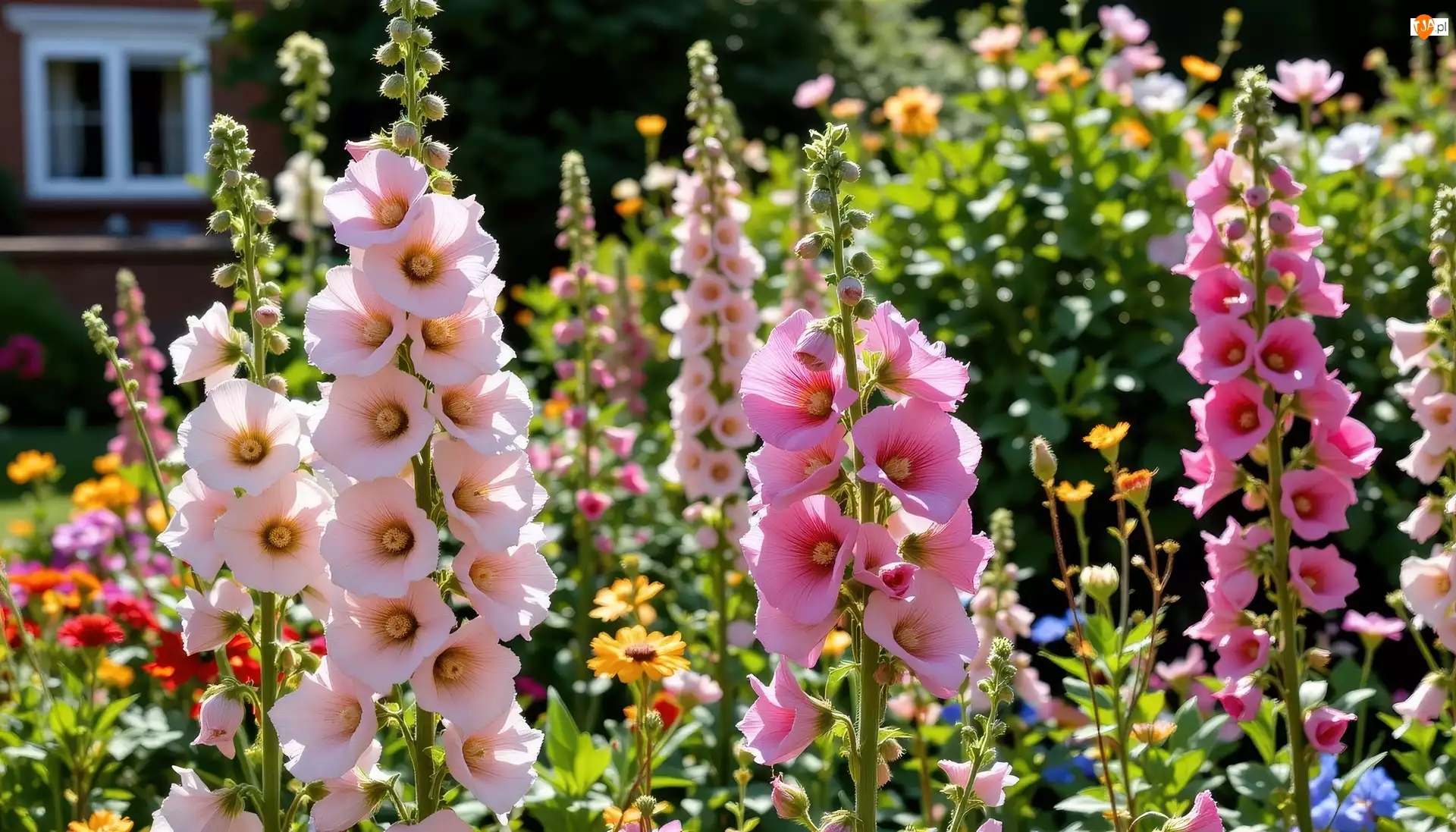 Grafika AI, Malwy, Kwiaty, Ogród