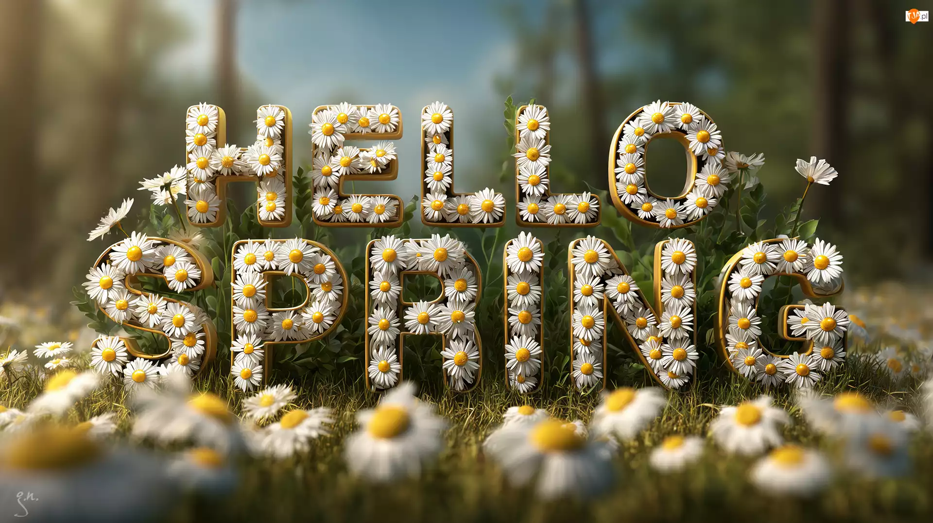 Napis, Wiosna, Kwiaty, Grafika AI, Hello Spring, Stokrotki
