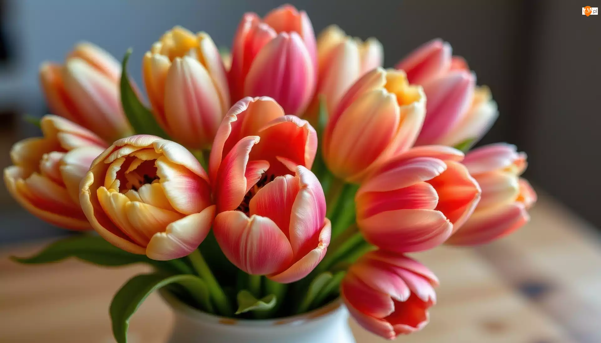 Wazon, Tulipany, Kolorowe, Kwiaty