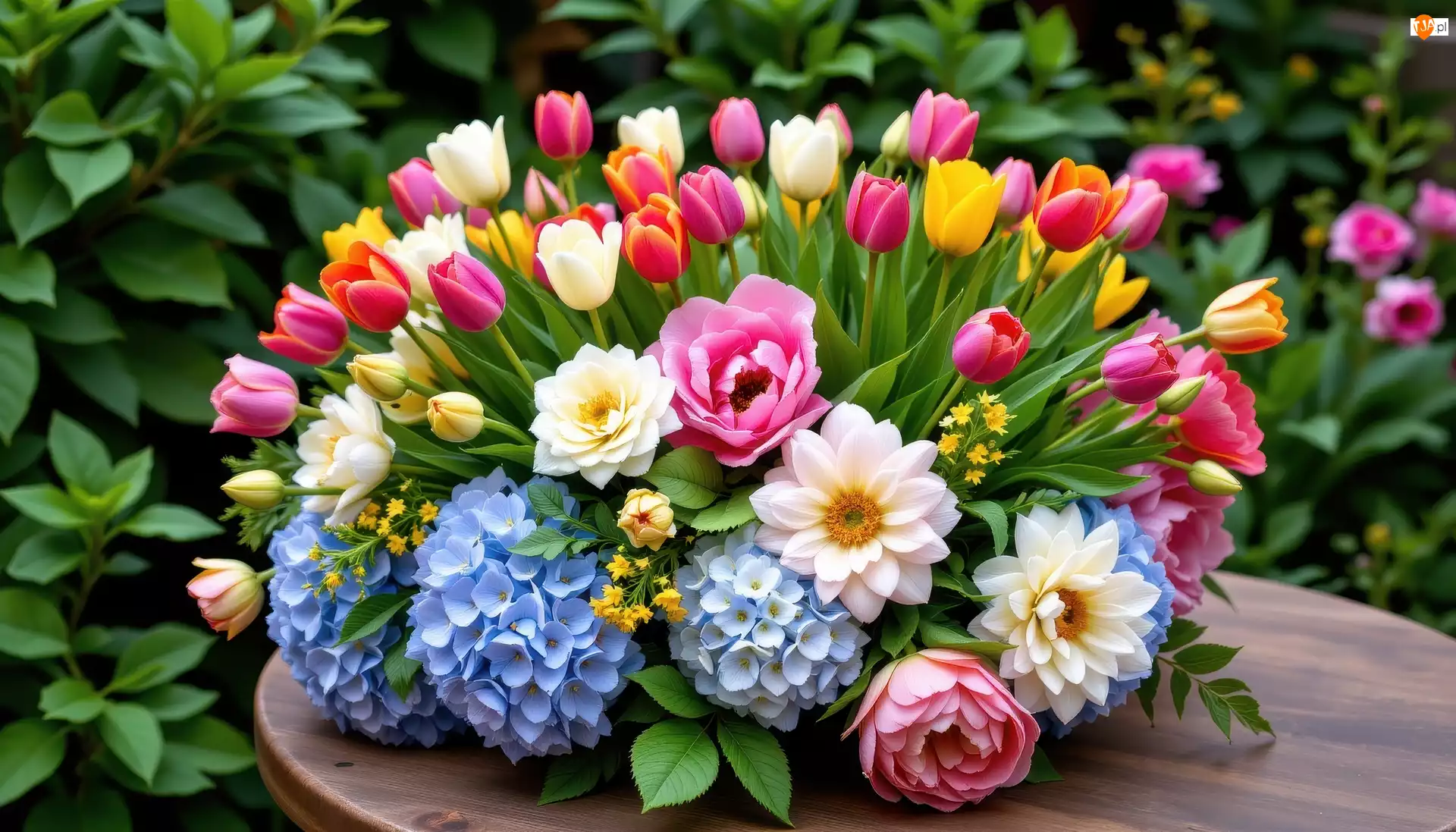 Tulipany, Stolik, Kwiaty, Bukiet, Hortensje