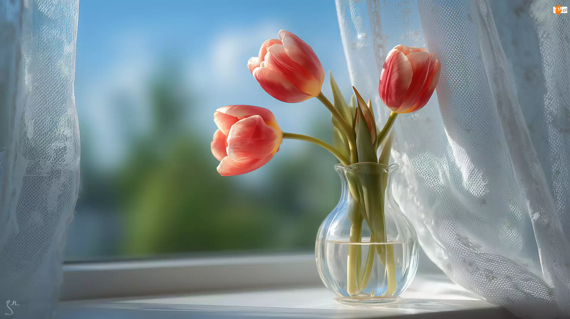 Okno, Grafika AI, Tulipany, Trzy, Firanki