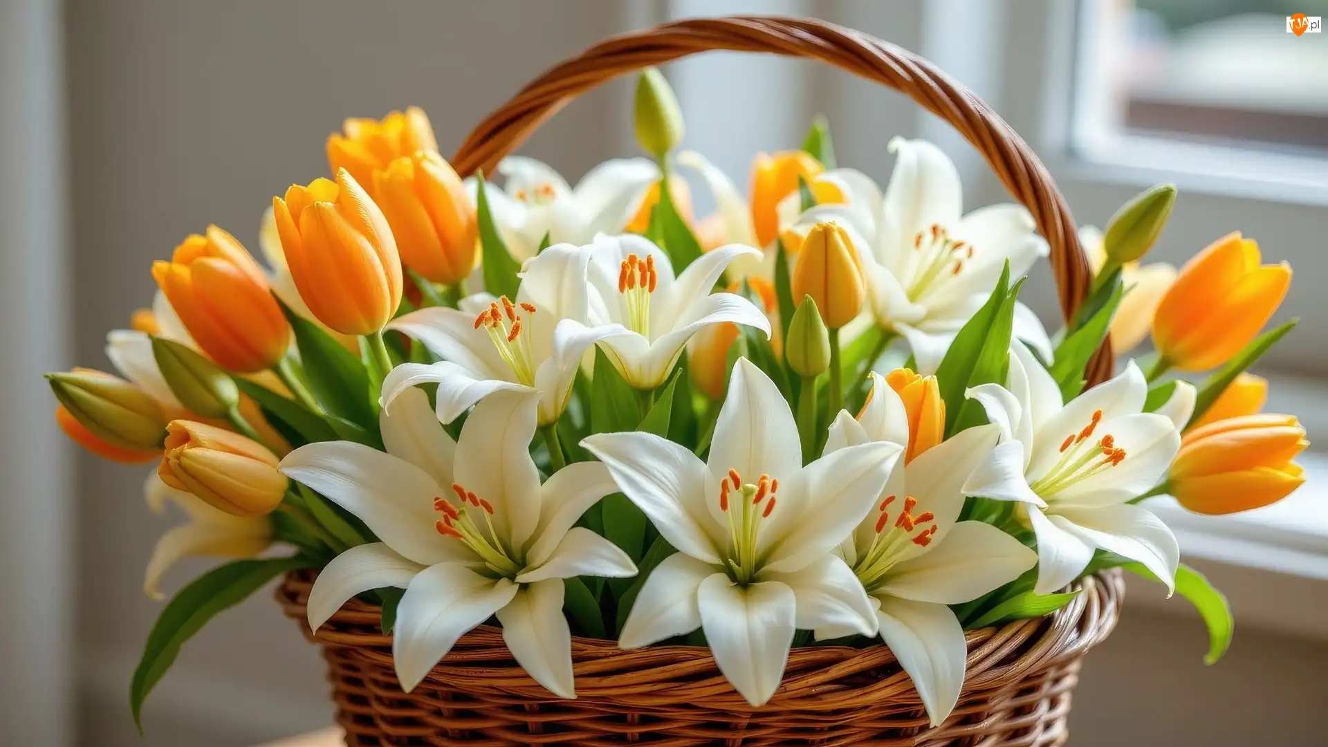 Tulipany, Lilie Kosz, Żółte, Kwiaty, Białe