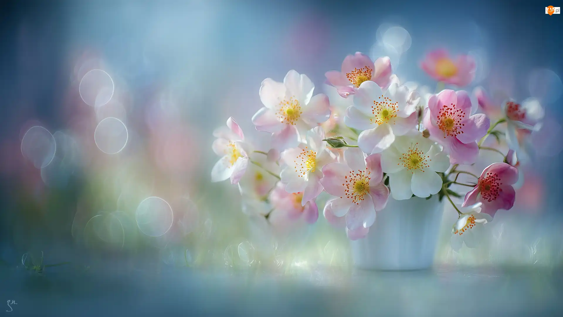 Grafika AI, Dzikie róże, Bukiet, Bokeh