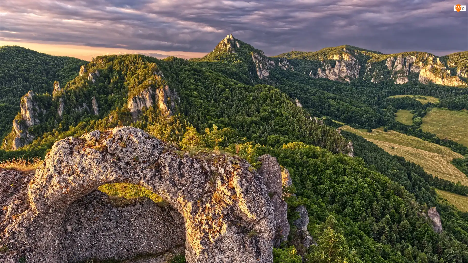 Słowacja, Skały, Powiat Bytca, Zamek, Castle Sulov, Drzewa, Lasy, Góry, Ruiny