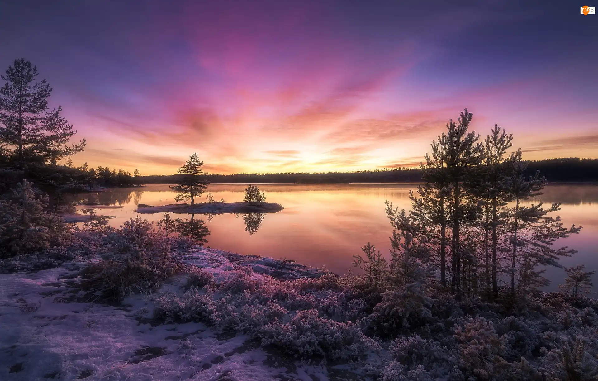 Ringerike, Norwegia, Zachód słońca, Drzewa, Zima, Jezioro