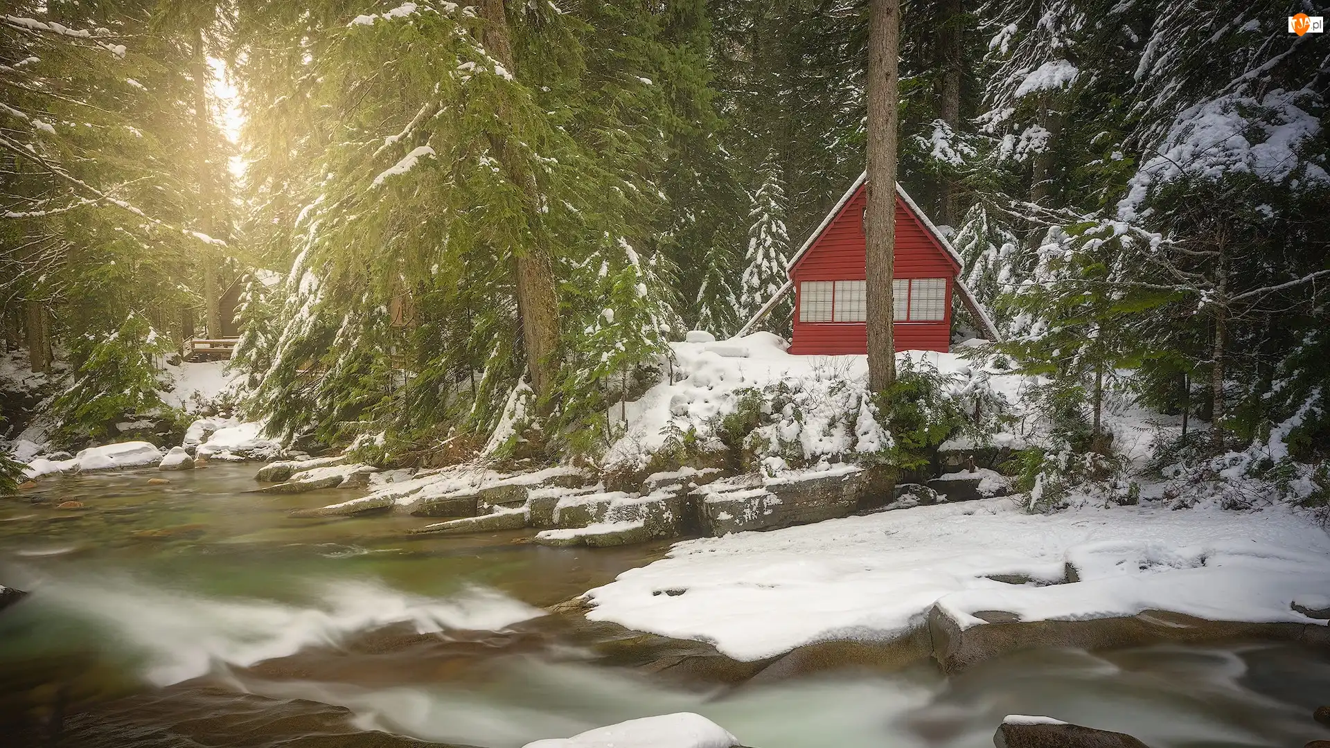 Drzewa, Stan Waszyngton, Las, Dom, Śnieg, Rzeka, Snoqualmie River, Stany Zjednoczone, Zima