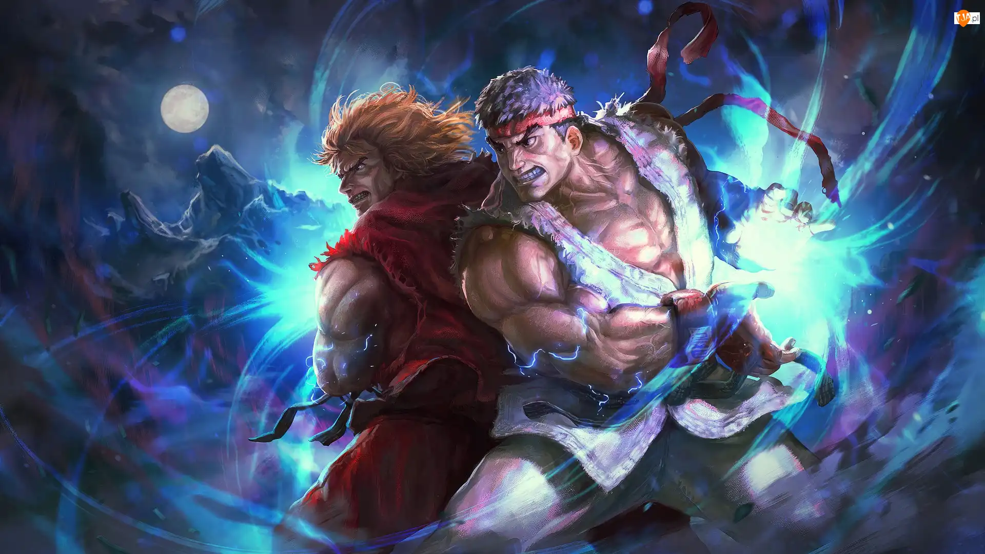 Street Fighter, Postacie, Gra