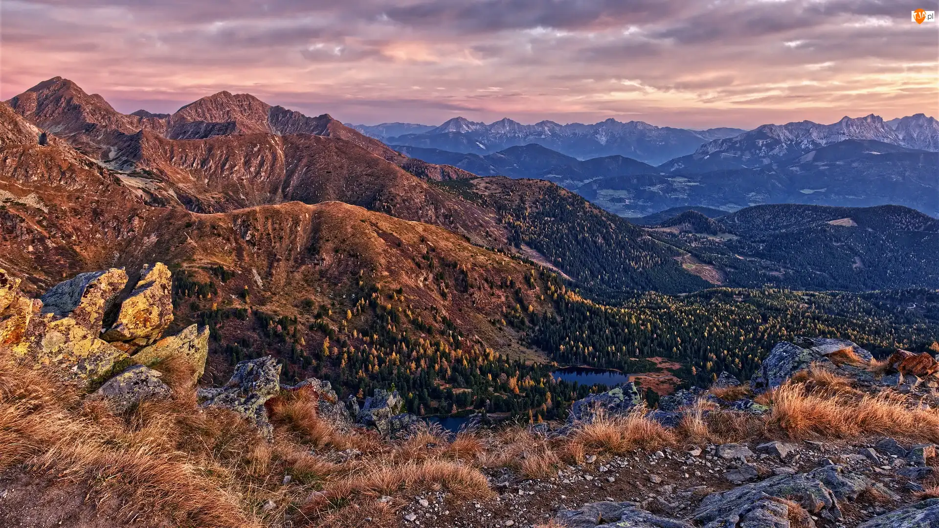Skały, Góry, Lasy, Trawa