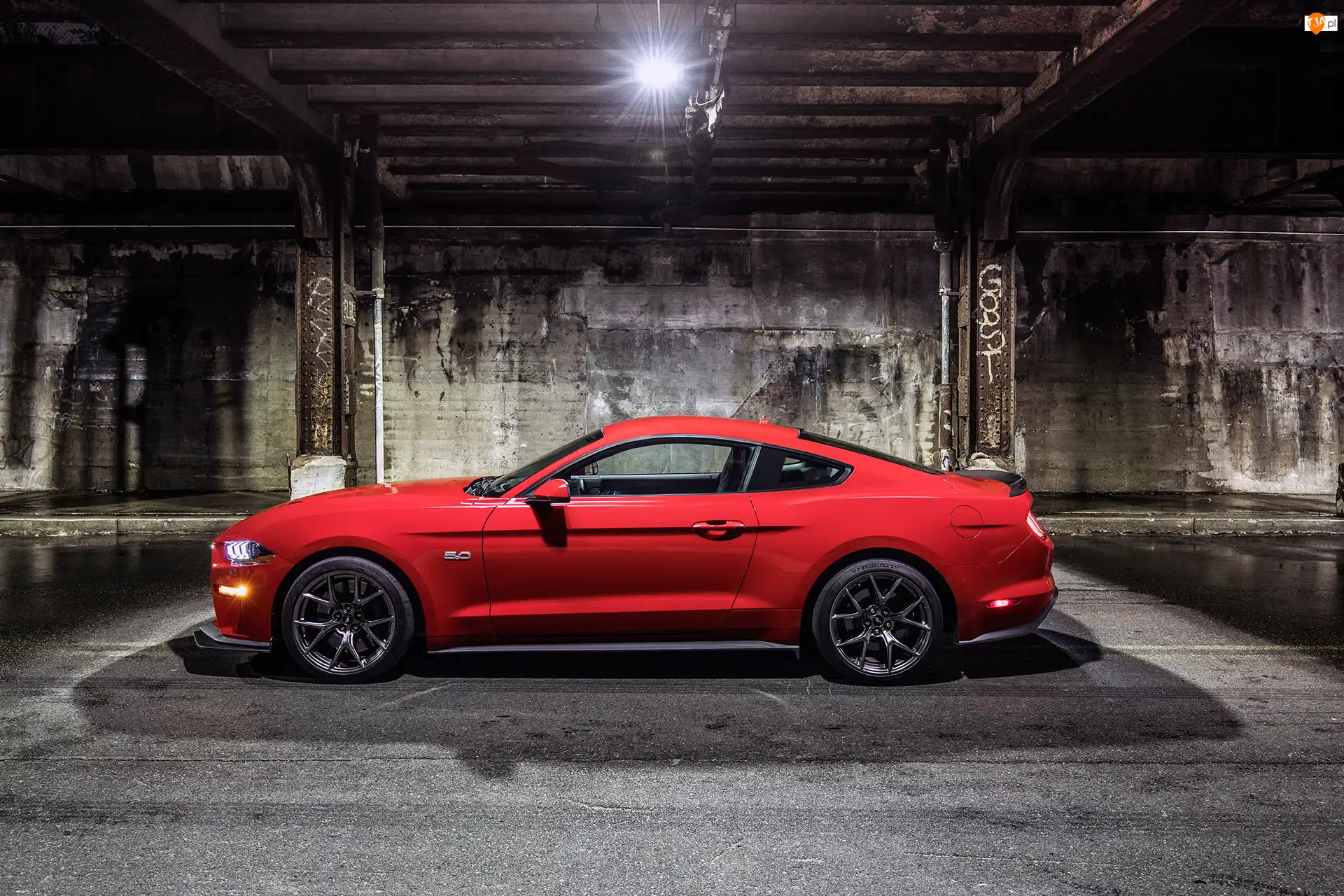 Bok, Ford Mustang GT