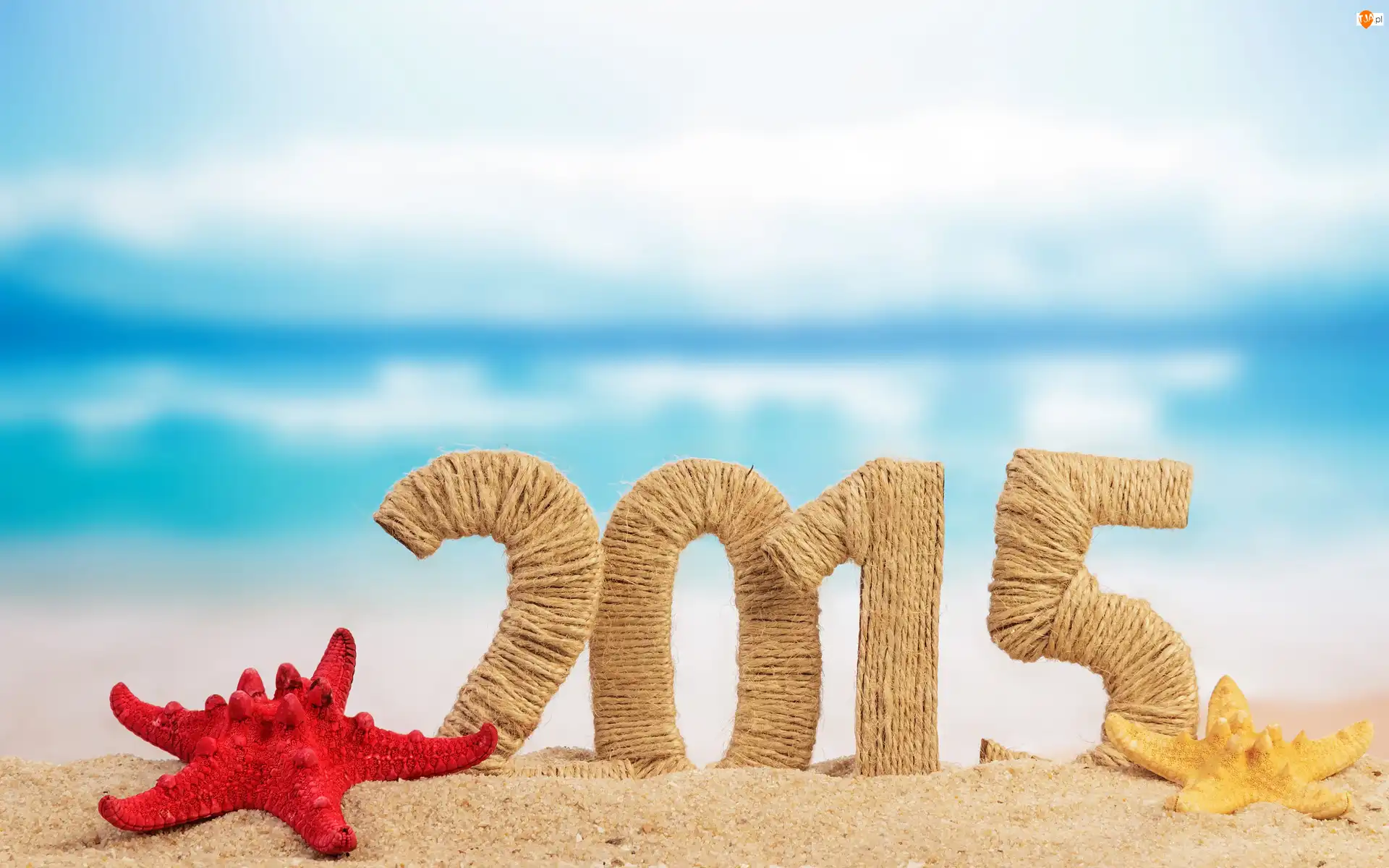 Rozgwiazdy, Nowy Rok 2015