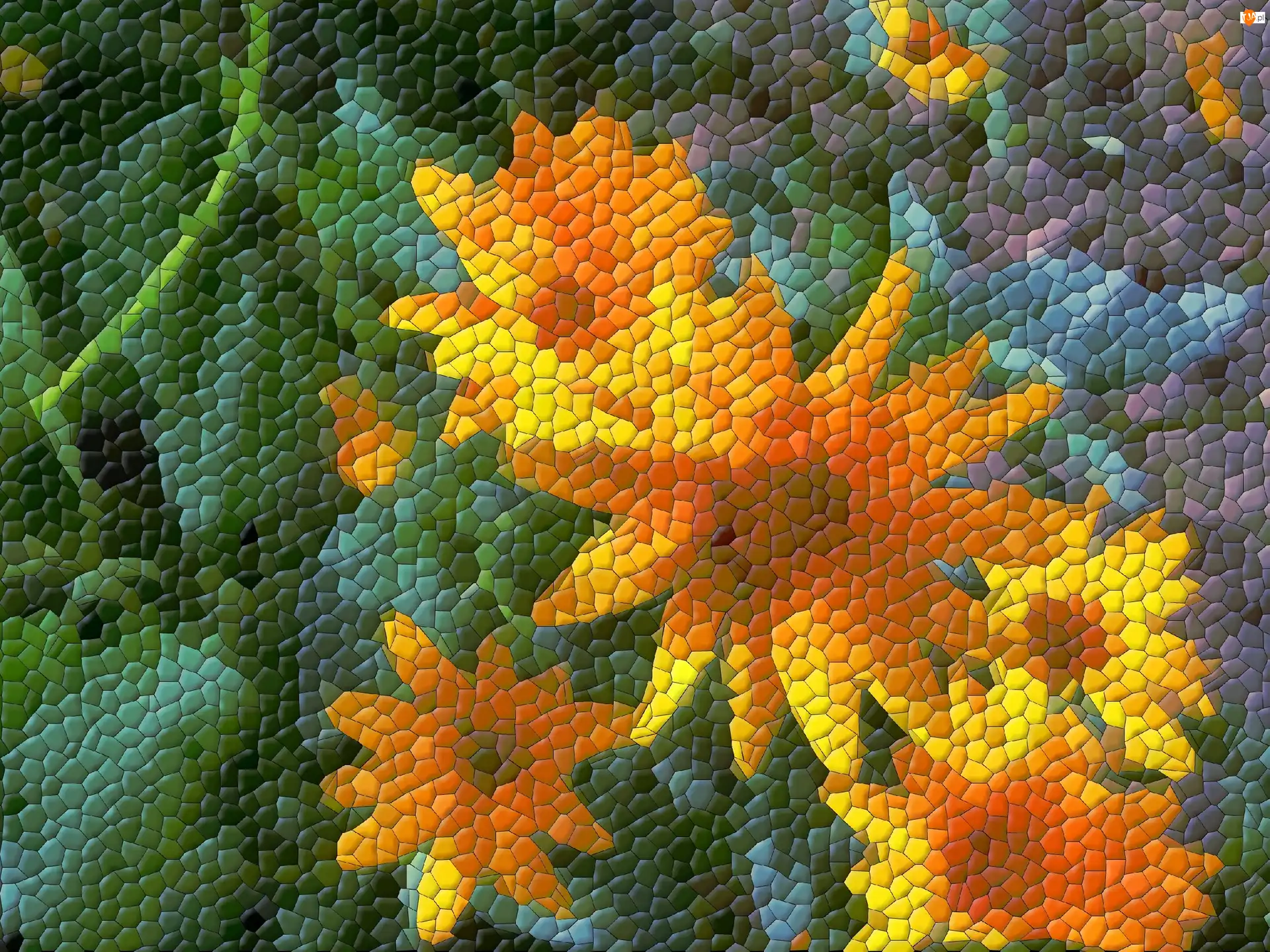 Grafika, 2D, Kwiaty, Pomarańczowe, Komputerowa