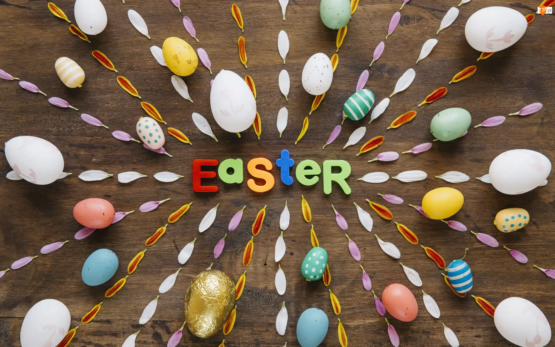 Pisanki, Kolorowe, Easter, Wielkanoc, Napis, Deski, Płatki