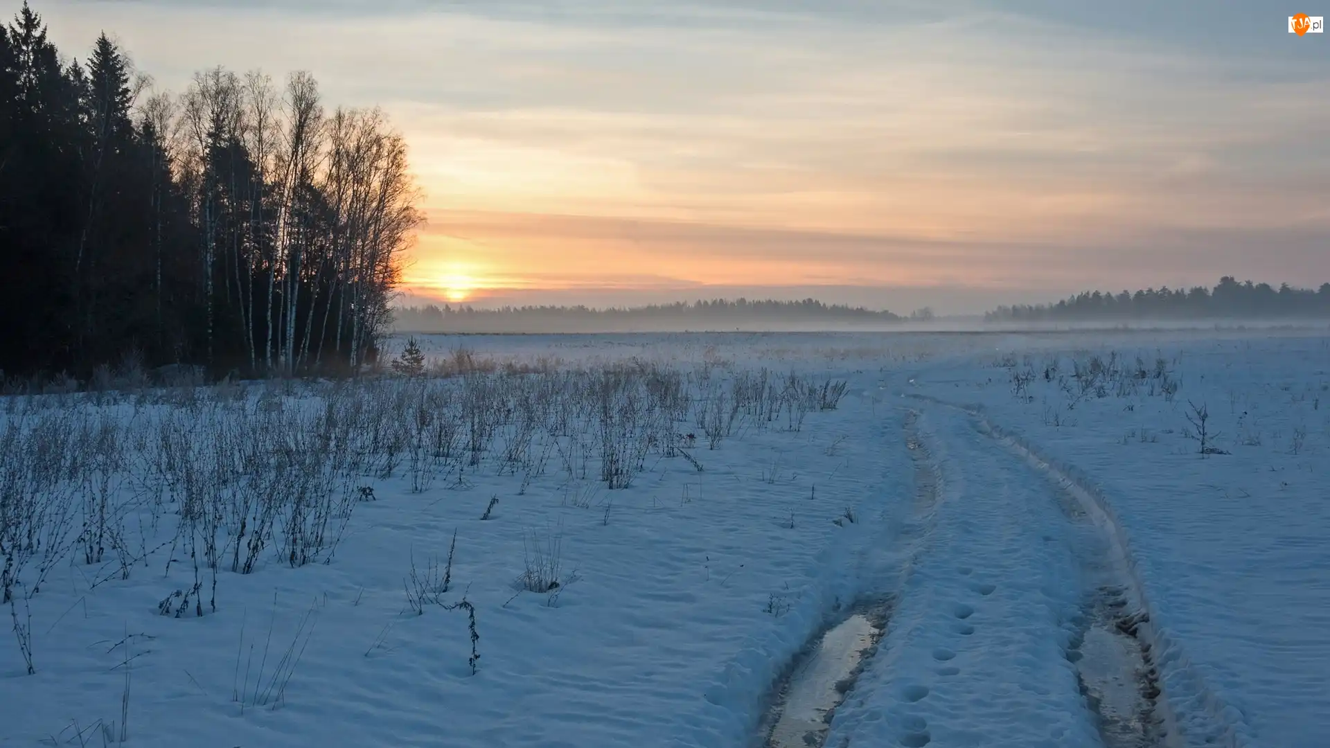 Drzewa, Zima, Śnieg, Krzewy, Las, Ślady, Wschód słońca, Droga