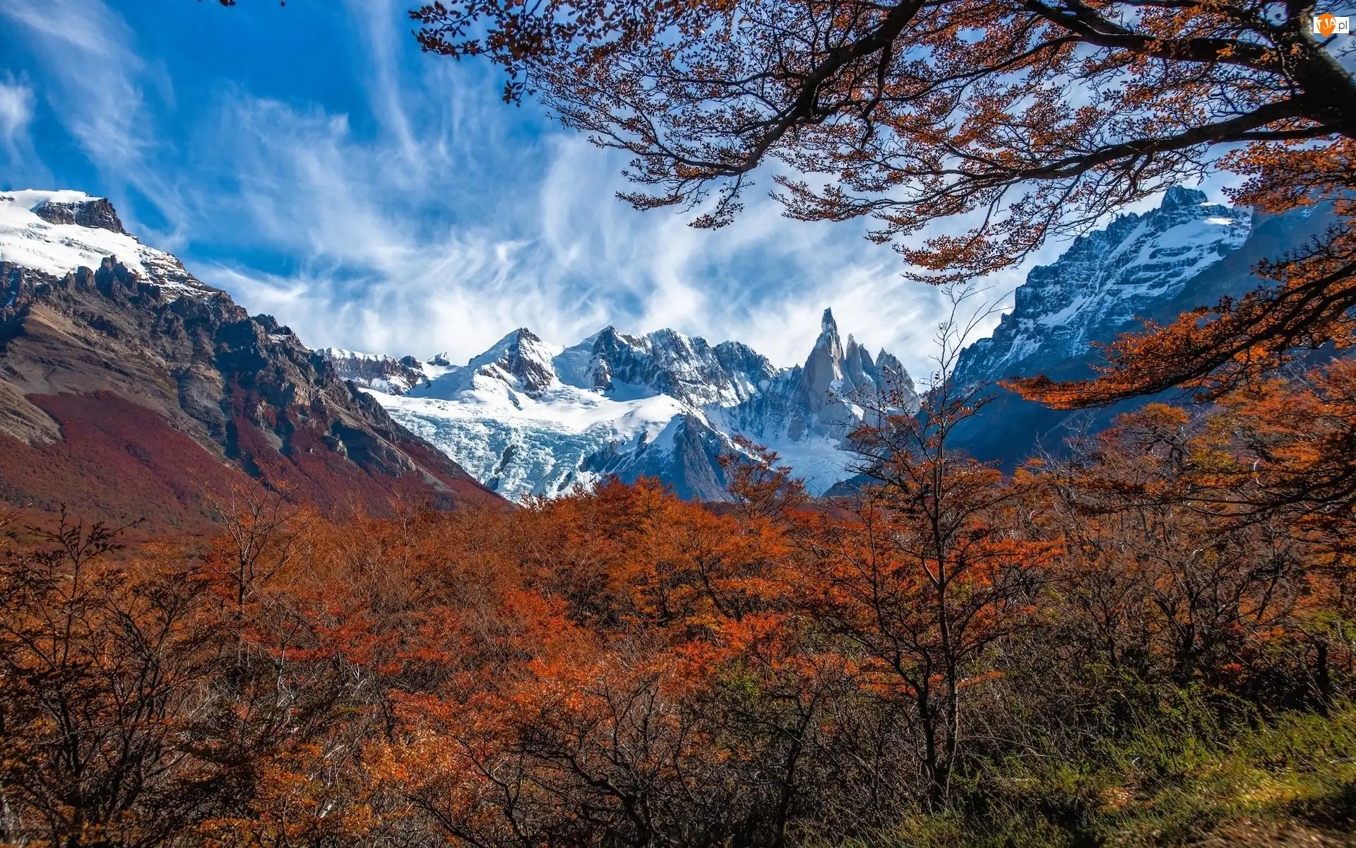 Patagonia, El Chalten, Drzewa, Argentyna, Jesień, Mount Fitz Roy, Góry