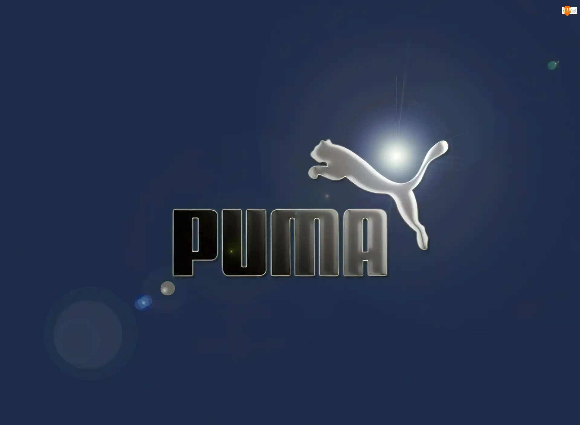 Logo, Tło, Puma, Nazwa, Niebieskie