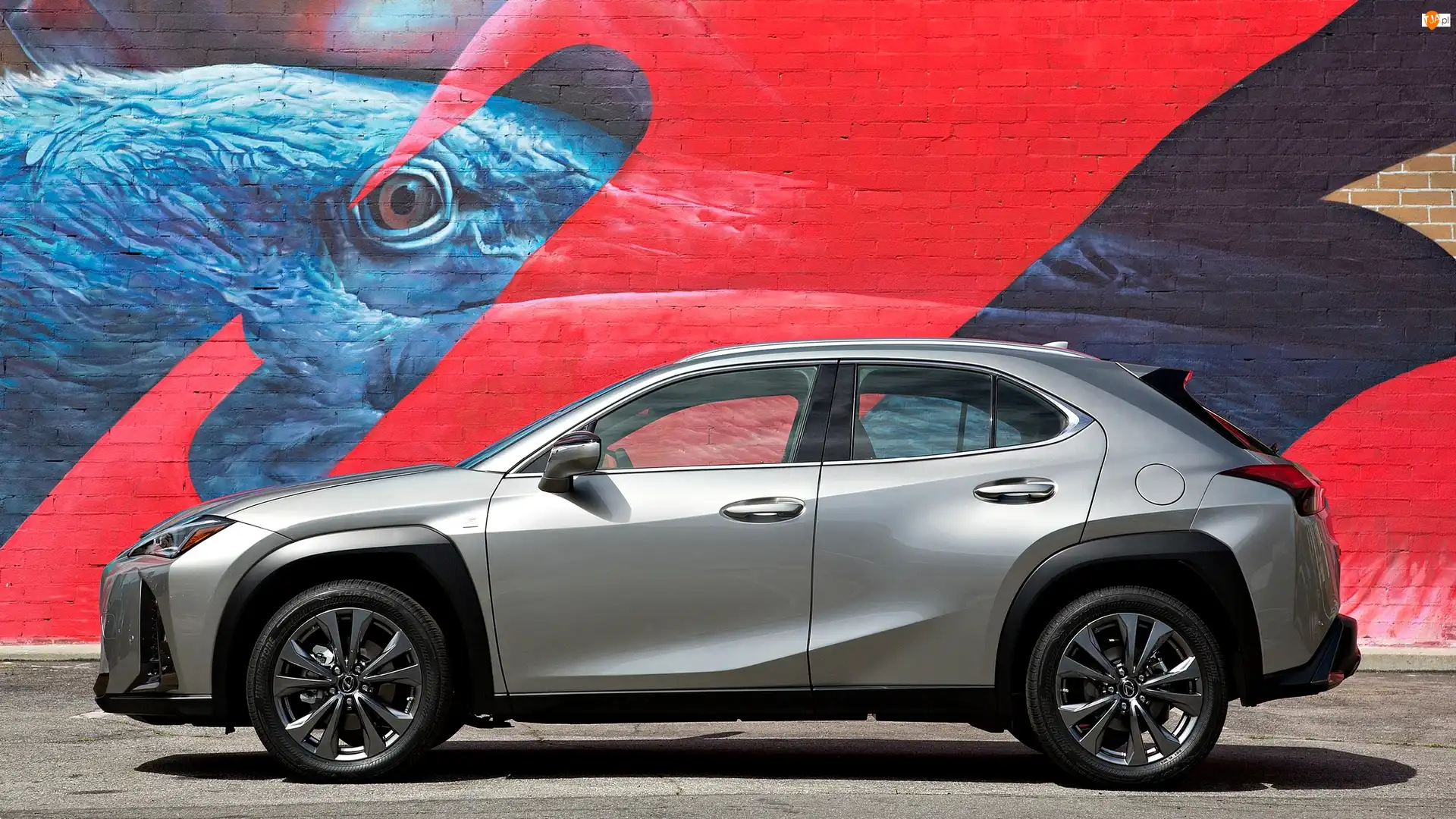 Graffiti, Lexus UX200, Ściana