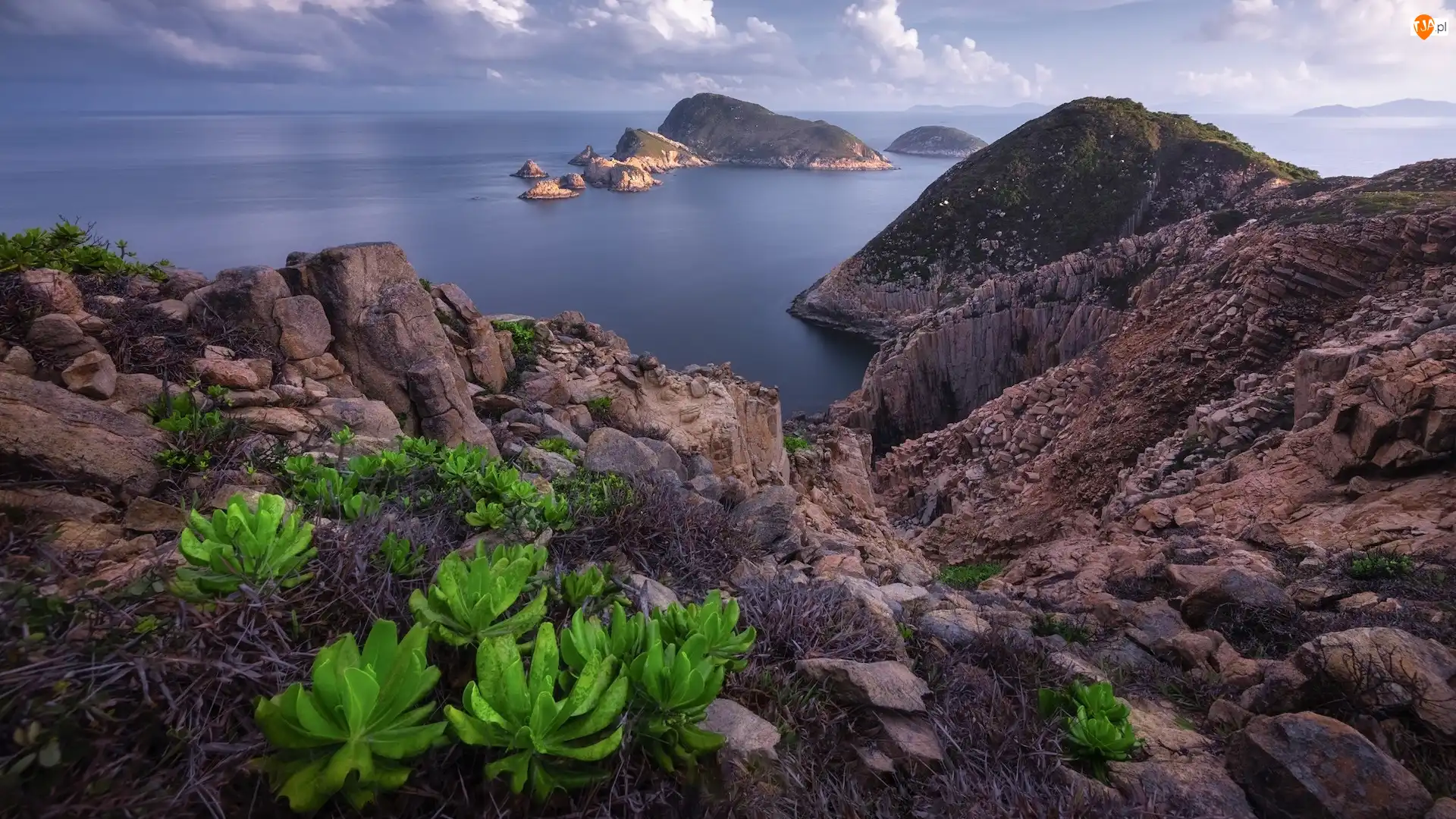 Hongkong, Geopark, Roślinność, Chiny, Wysepki, Skały, Morze