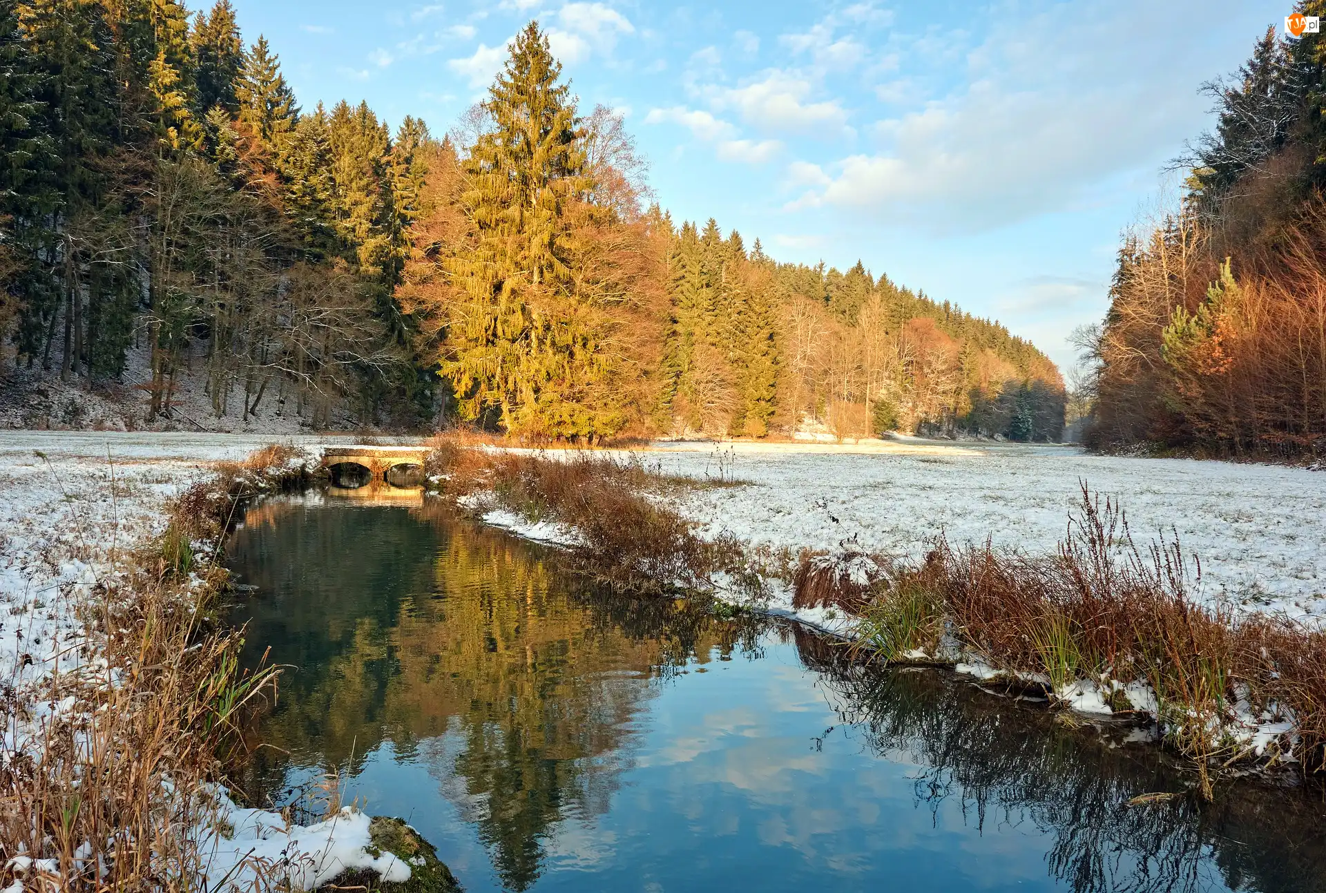 Las, Zima, Śnieg, Dzień, Rzeka, Słoneczny