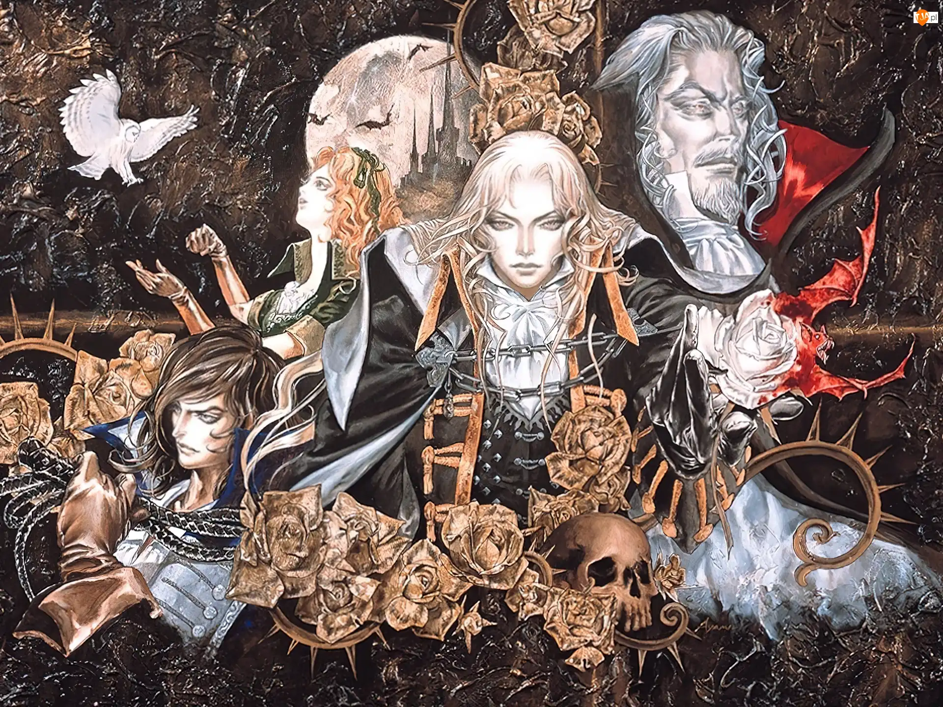 postacie, czaszka, śmierć, Castlevania, sowa