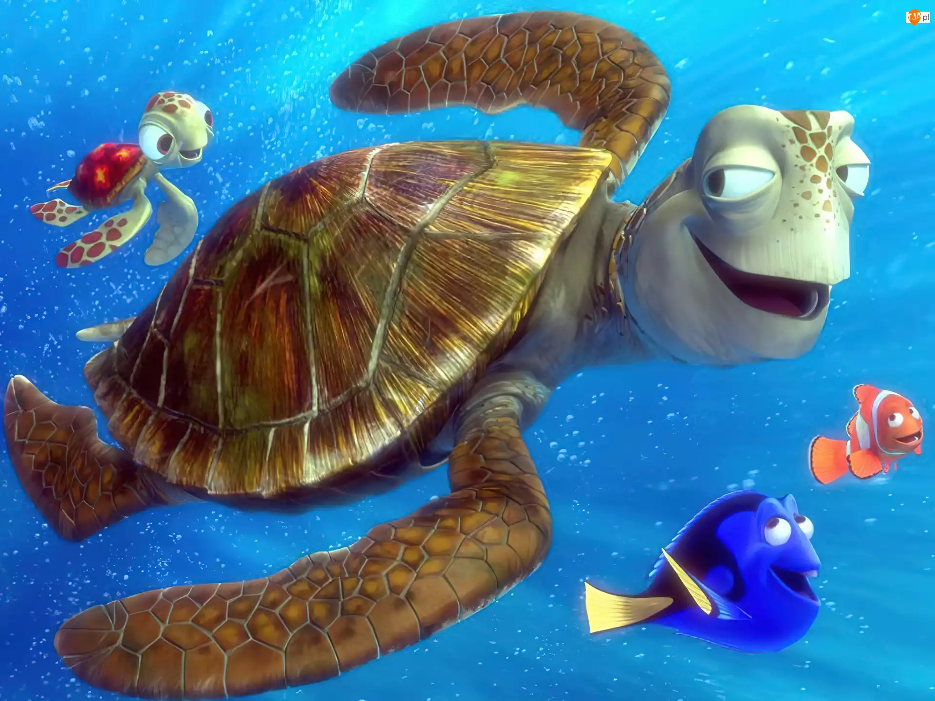 Finding Nemo, żółw, rybki, Gdzie jest Nemo
