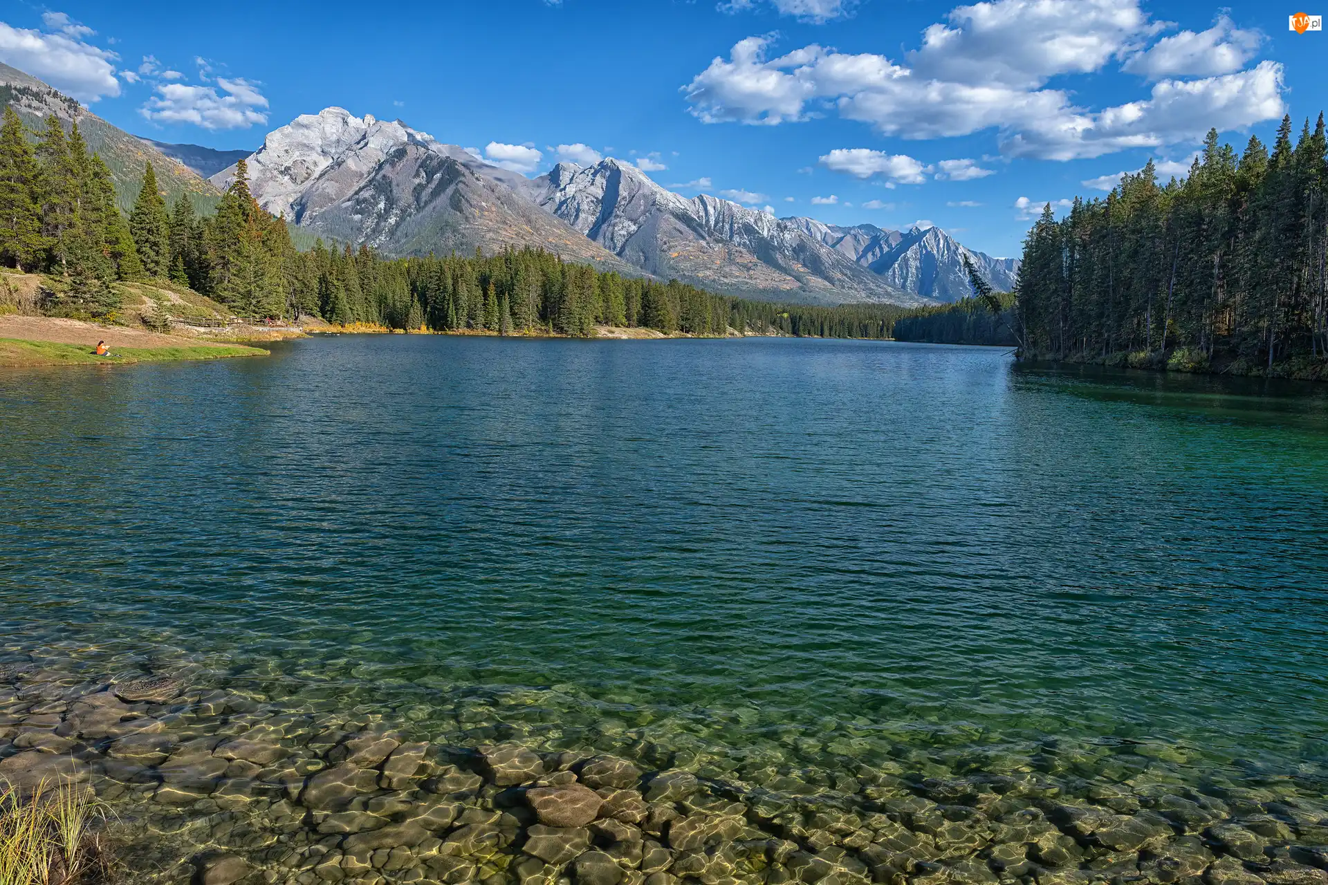 Kanada, Johnson Lake, Alberta, Góry, Fairholme Range, Kamienie, Drzewa, Jezioro, Las