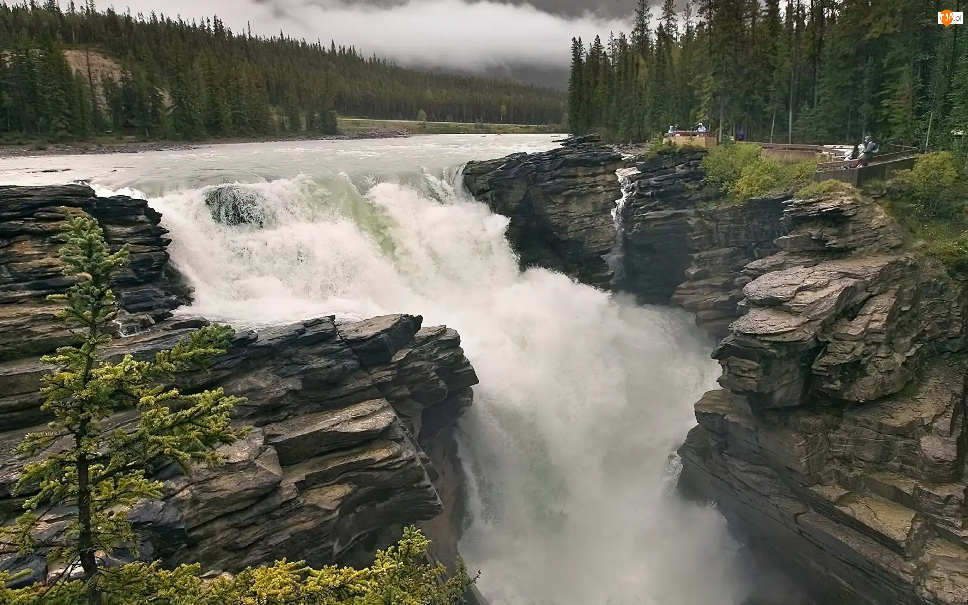 Kanada, Wodospad, Skały, Alberta