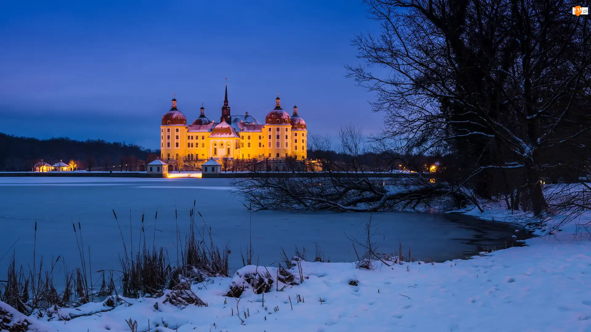 Pałac Moritzburg, Zima, Saksonia, Niemcy, Jezioro Waldesee