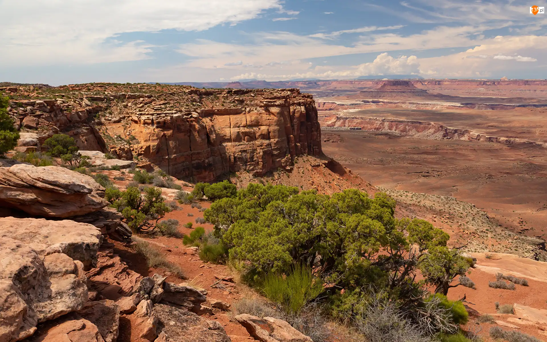 Park Narodowy Canyonlands, Skały, Stany Zjednoczone, Kanion, Stan Utah, Rośliny, Drzewa